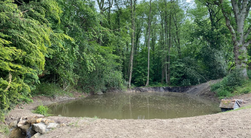 lake cleaner and dredged